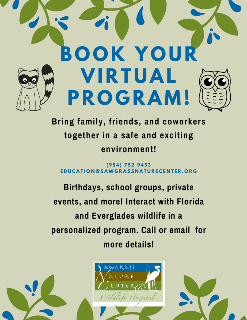 Programs | Sawgrass Nature Center & Wildlife Hospital